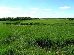 Łomżyński Park Krajobrazowy Doliny Narwi